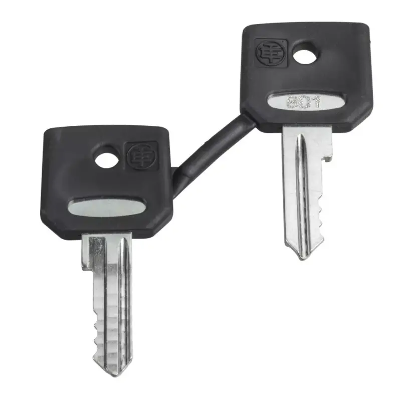Bestseller Schneider ZBG421E Harmony pótkulcs kulcsos kapcsolóhoz, 421E, 2db