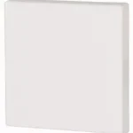 Biztonságos fizetés Eaton 126042 CWIZ-01/01 1x-es_billentyű_fehér_55x55mm