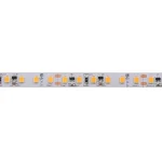 Akció StrongLumio LED szalag CC CRI90, 6W/m 24V, 120 LED/m, meleg fehér