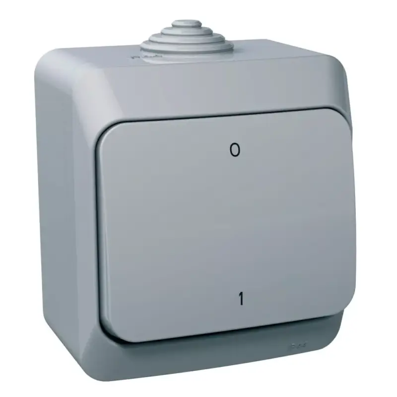 Kedvezményes ár Schneider CEDAR PLUS Kétpólusú kapcsoló, IP44, szürke (102), WDE000620
