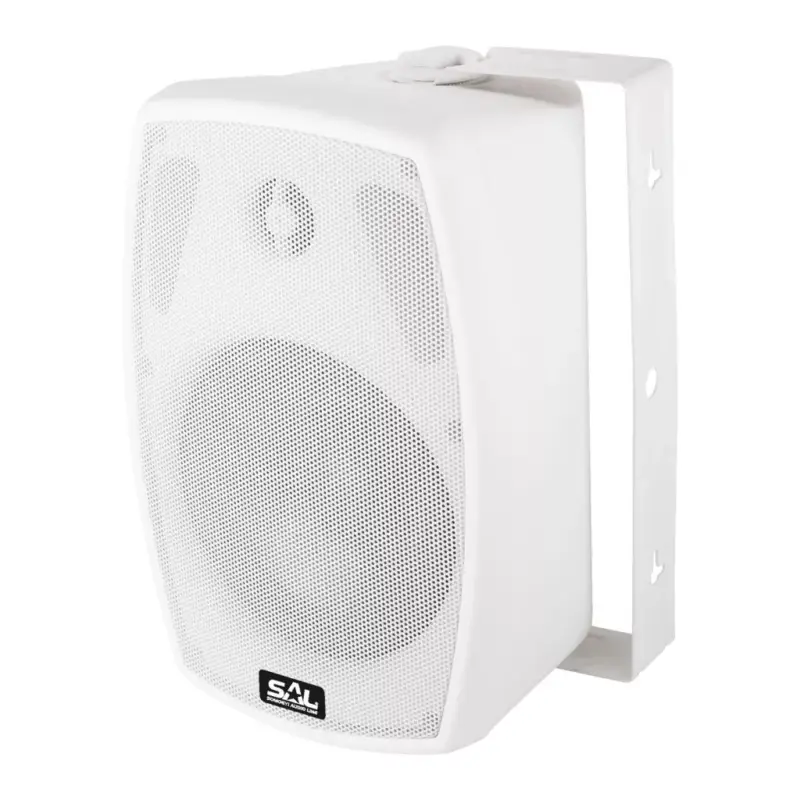 Legjobb ár SAL BXB 100/8, 2 utas hangdoboz, 2 in 1, 60 W / 8 Ohm, 40 W / 100 V, Bass reflex, billenthető, forgatható, BXB_100_8