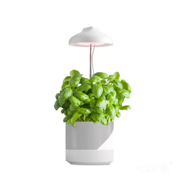 LED növénynevelő lámpa LED VERDI 5W 3200K Kobi Design KOBI-001457 SpectrumLED Kiárusítás