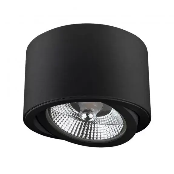 Vásárlói kedvenc CHLOE AR111 IP20 kerek fekete, billenthető SLIP005013 SpectrumLED
