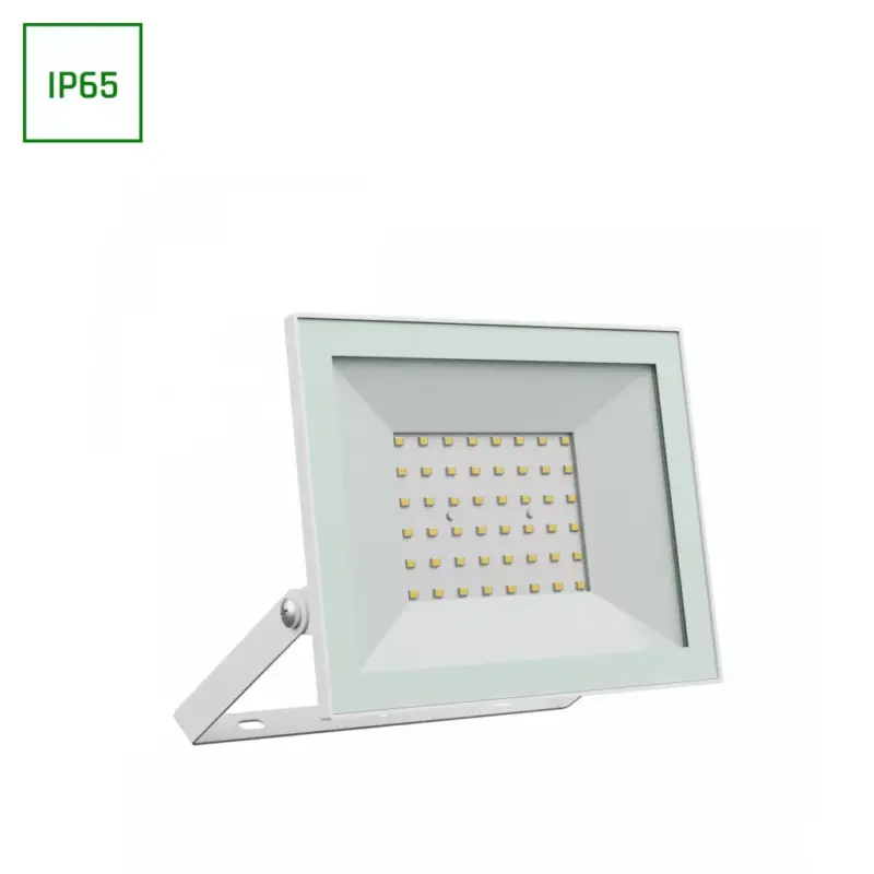 Vásárlói kedvenc NOCTIS LUX 4 LED-reflektor, 100°, IP65, 50 W, Hideg fehér, fehér SLI029077CW_PW SpectrumLED